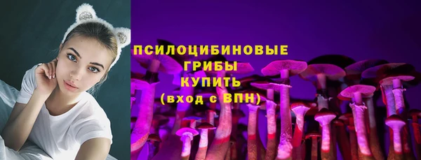 дмт Балахна