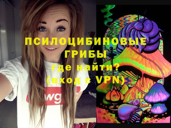 дмт Балахна