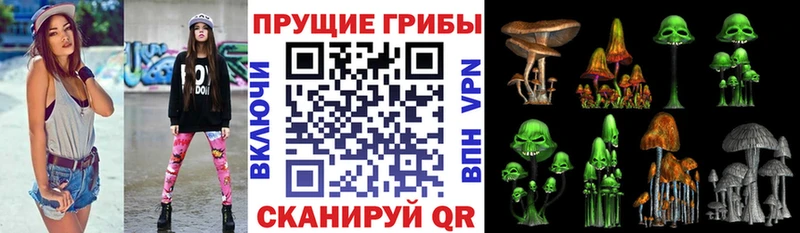 Галлюциногенные грибы MAGIC MUSHROOMS  Купить где  Светлый 